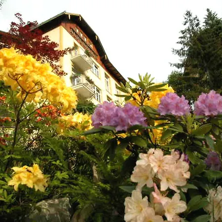 Hotel Alpenblick Bad Gastein
