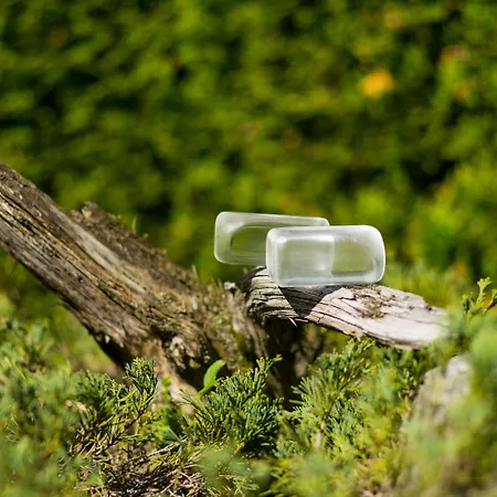 奥攀布莱克酒店 巴德加斯坦