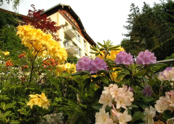 호텔 Alpenblick 바트 가슈타인